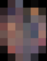 Palette Nude